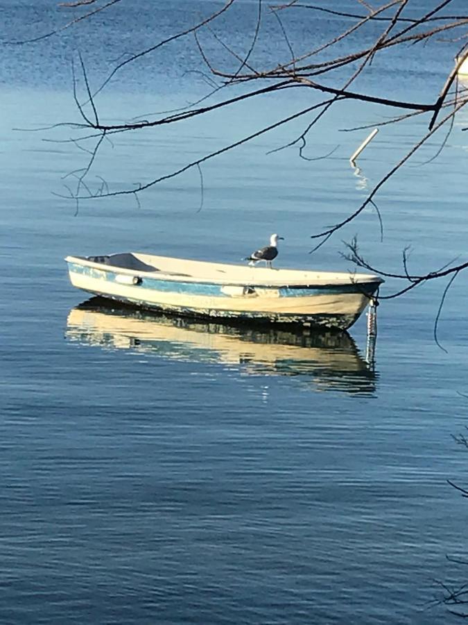 Villa La pauseto La Seyne-sur-Mer Esterno foto